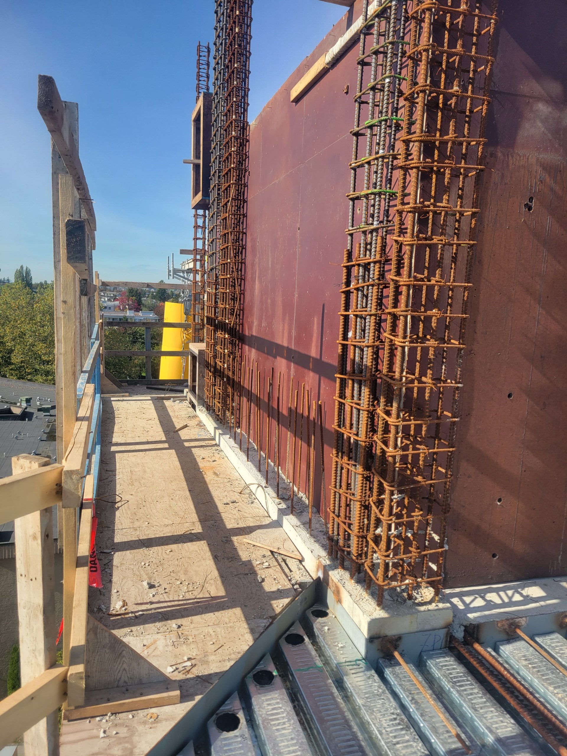 Copy of 20241011_125357